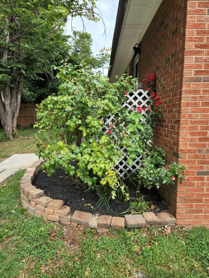 2Br 1Ba Duplex House King Beds Great For Small Groups Close To All Uptown Charlotte Attractions Экстерьер фото